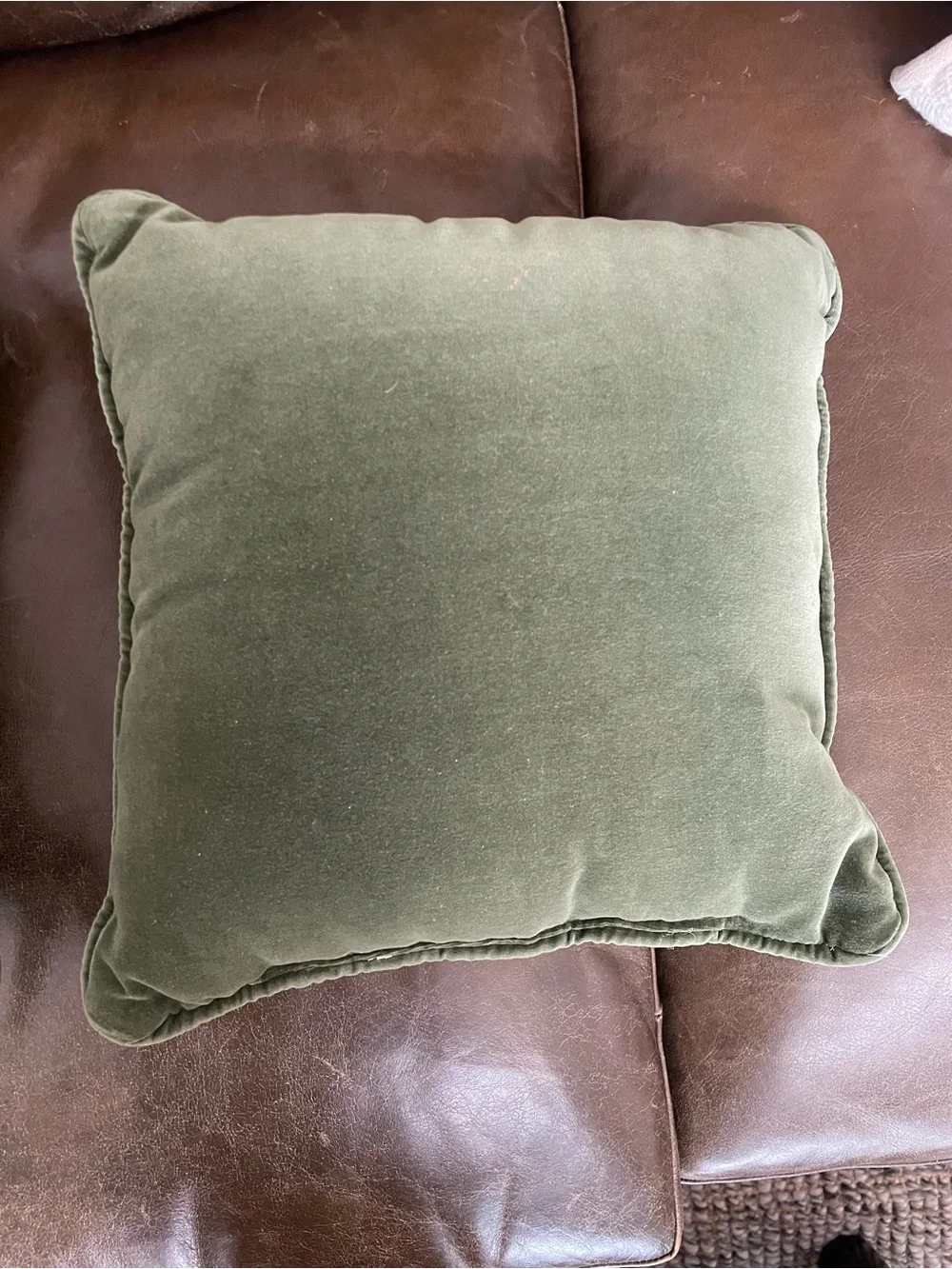 Green Velvet Green “Season’s Greeting”  Cardinal Holiday Throw Pillow 12”X12”